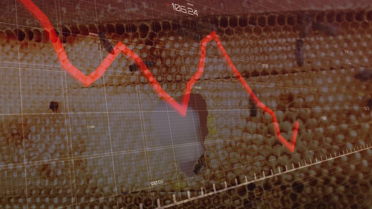 Arıların bulunduğu petekte, kovan verilerini gösteren, yükselip alçalan kırmızı bir çizgi grafik katmanı beliriyor.