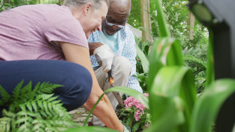 Glückliches-älteres,-Vielfältiges-Paar,-Das-Hemden-Trägt-Und-Im-Garten-Arbeitet