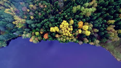 border line between autumn forest and crystal clear lake, top down above clouds view