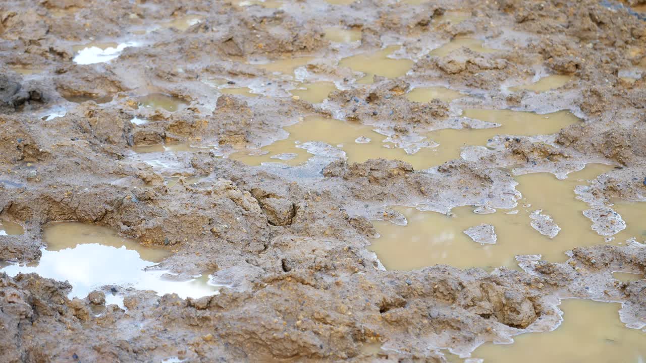 Muddy Road with Puddles