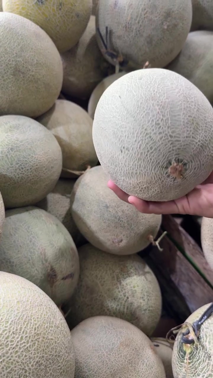 Hand Picking a Fresh Melon from a Pile at the Market