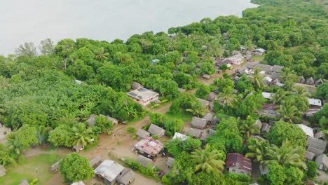 Toma-Aérea-De-Un-Pequeño-Pueblo-En-El-Bosque-Tropical-Cerca-Del-Mar