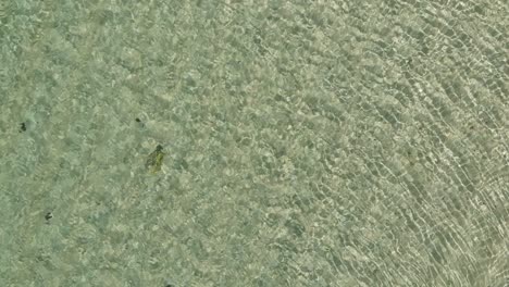 aerial top down view from high altitude of green sea water texture. azure ocean water. 4k background of the water surface.