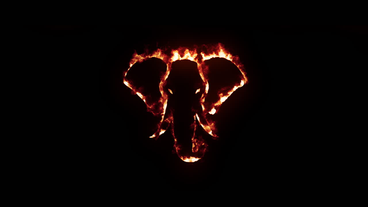Realistic fire effect of elephant head silhouette with burning flames on black background