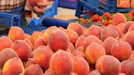 fresh peaches and fruits at a market stall