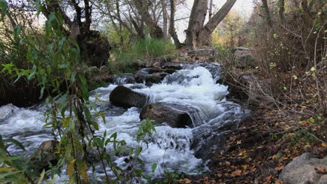 Old-water-mill-on-the-forest