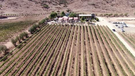 Aerial view of a restaurant near a vineyard