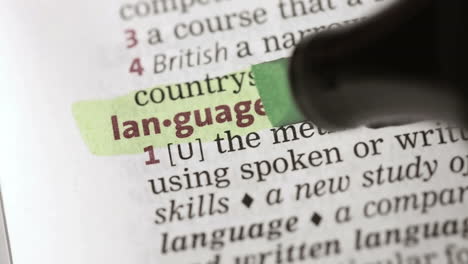 definizione di lingua