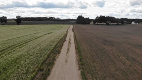 Buckwheat-field-and-country-road-seen-from-Low-altitude-drone-flying-above-the-plants