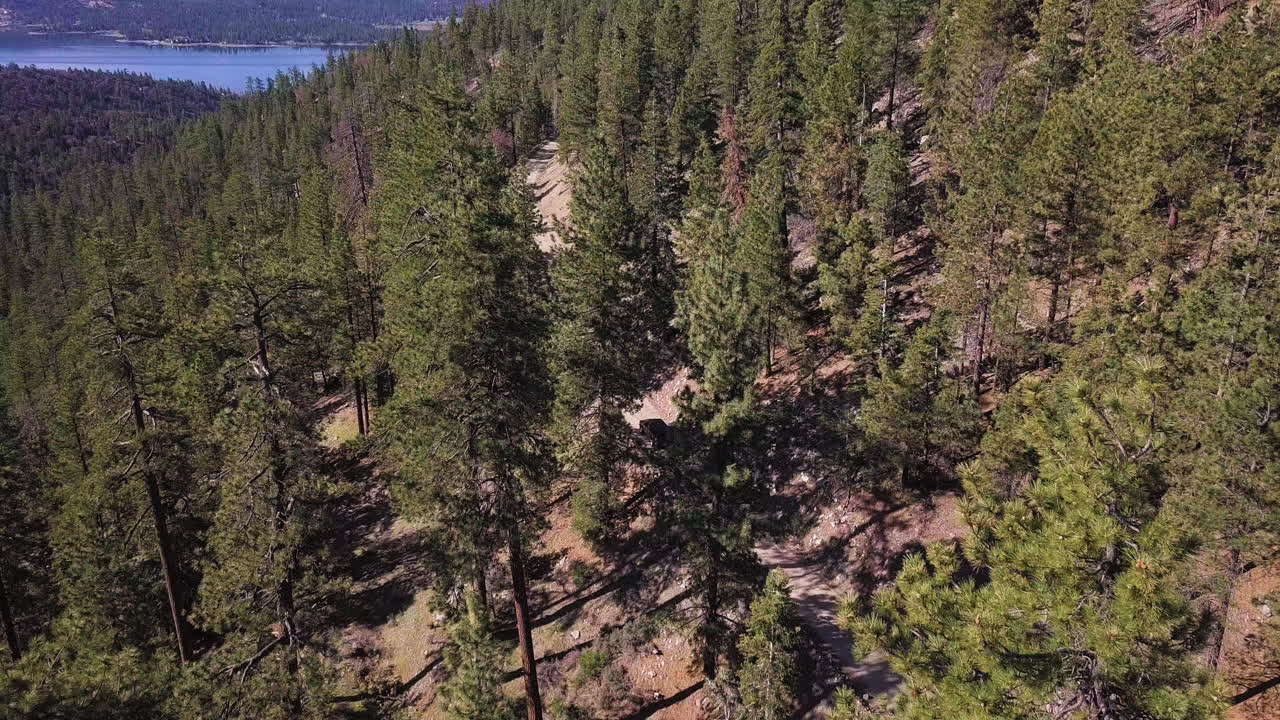 Un SUV scuro scende lungo una strada antincendio di montagna tortuosa attraverso ombre scure proiettate da alti pini.