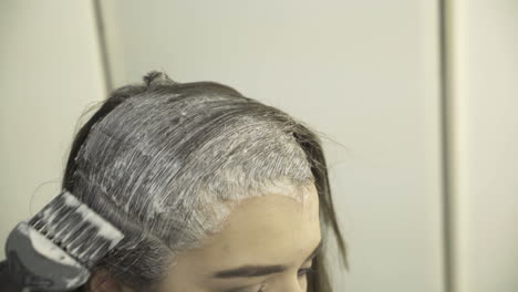professional hairdresser cutting hair to female customer at design hair salon