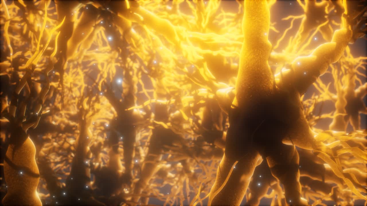 뇌 안의 신경 세포 네트워크를 통해 여행합니다.