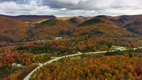 beautiful colorful forests covering the valley and mountains. drone footage above the bright trees. grey cloudscape in the sky.