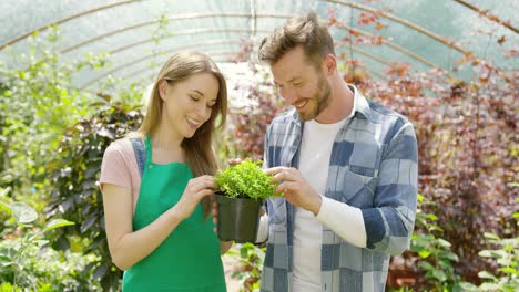 couple young gardners standing in a indoor greenhouse