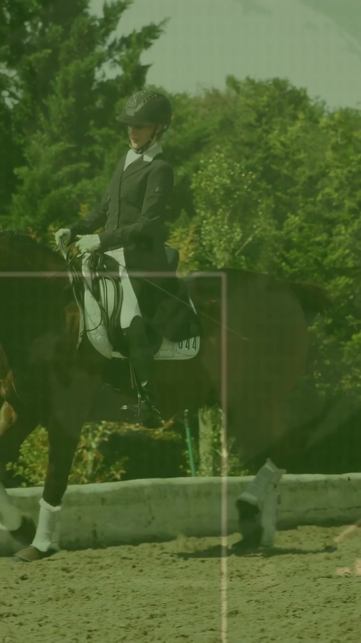 Video vertical: Jinete trotando un caballo de doma clásica junto a la valla, la cámara panea generando gráficos para análisis.