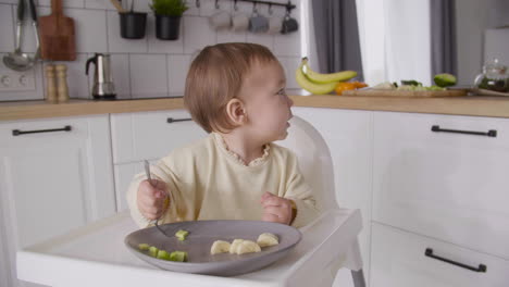 cute baby girl holding fork and looking around while sitting in her high chair in the kitchen and eating fruit