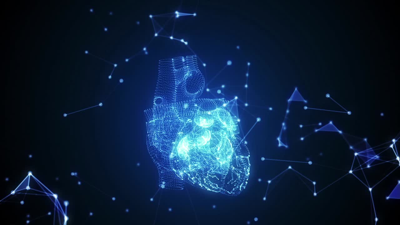 Heart Connection Plexus