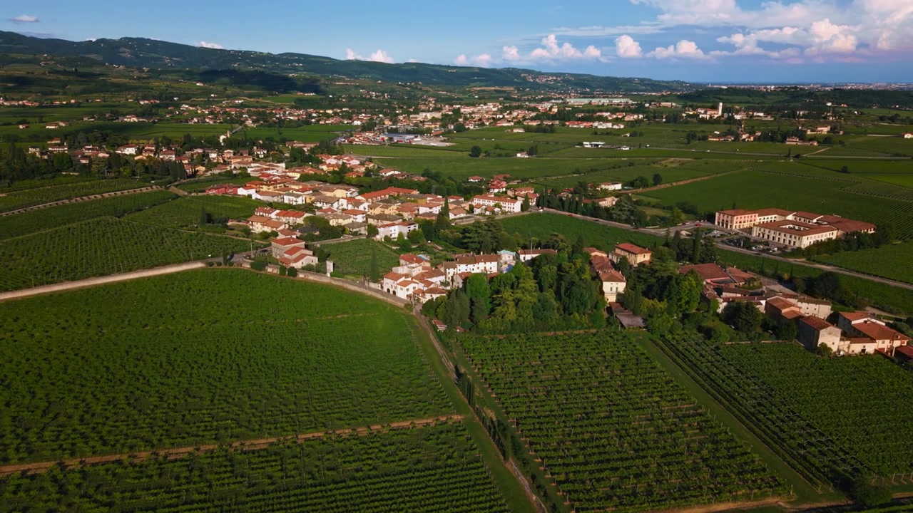 Filari di vigneti di Negrar per la coltivazione dei vini Recioto e Amarone, regione della Valpolicella, Verona, Italia.