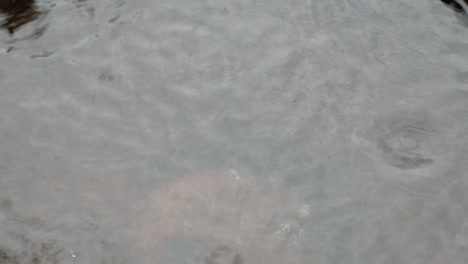 rain in a puddle.