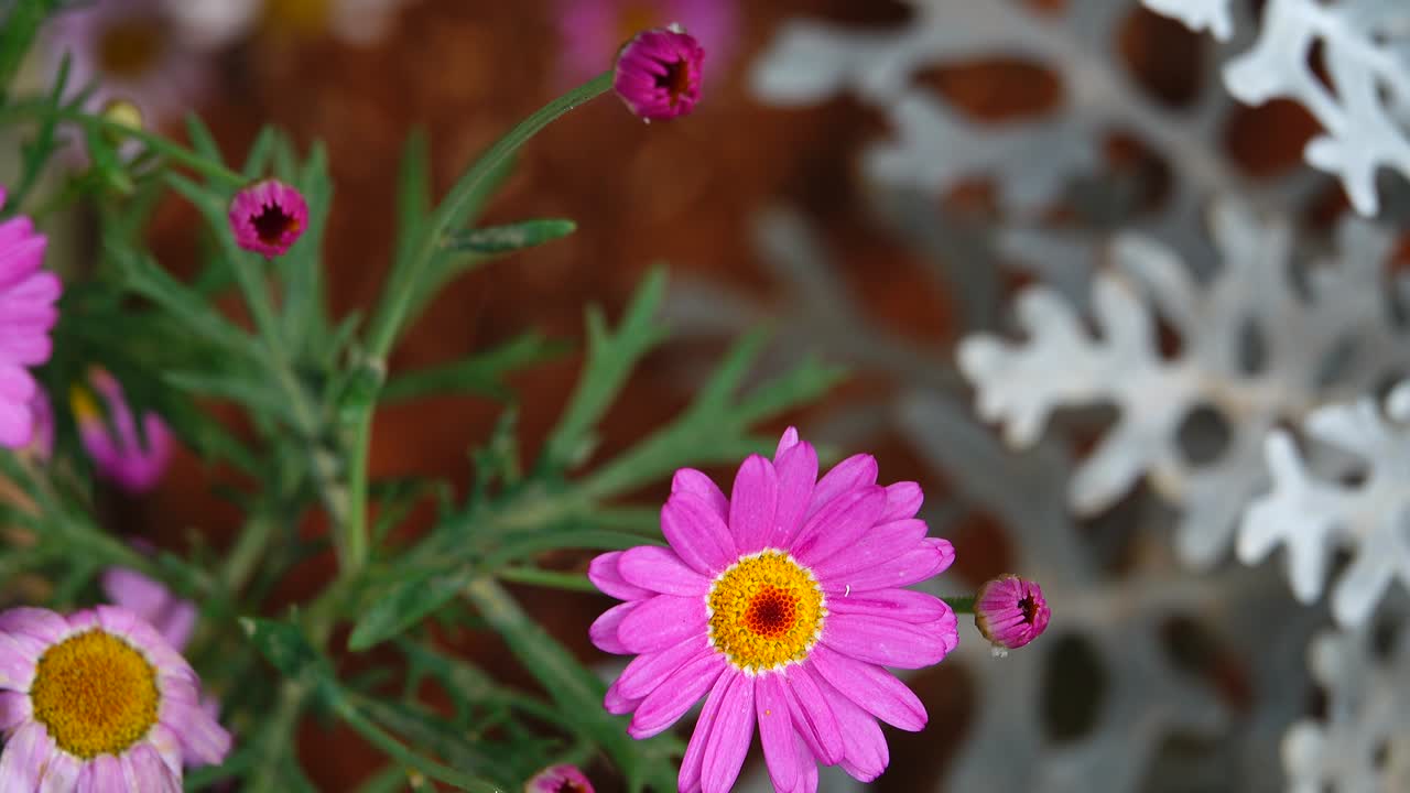 las flores de colores pastel