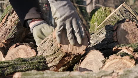 close up shot of a man's hands taking the log of wood from the pile of previously cut logs on a sunny day - slow motion