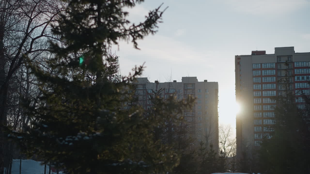 Green flare from sunlight glows brightly between tall residential buildings as snowflakes gently fall onto snow covered ground surrounded by pine trees under clear winter sky during calm afternoon