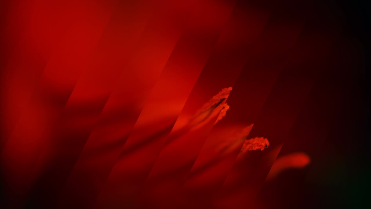 Animazione di sfondo con arte floreale