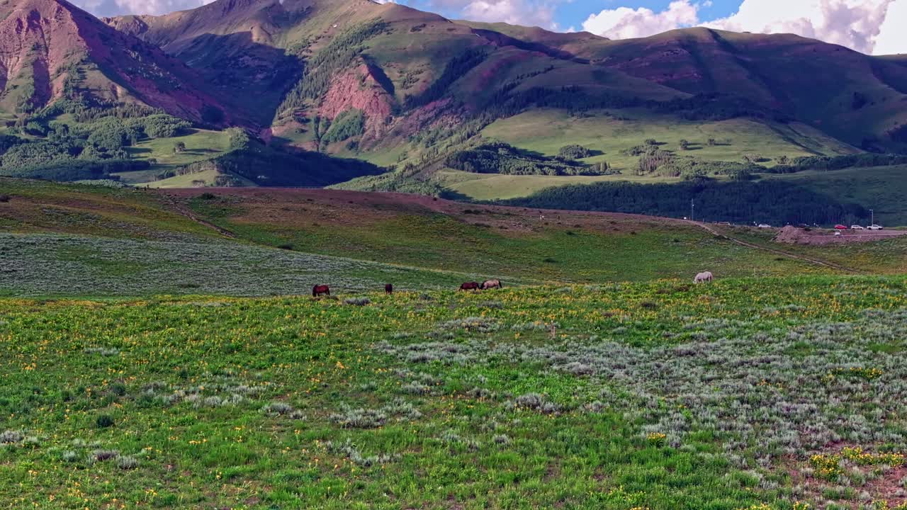 аэроскоп над зелеными холмами и лугами возле горы крестд-бут с дикими лошадьми на переднем плане, колорадо, сша