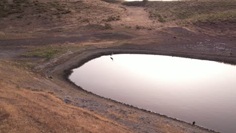 Pájaro-Cigüeña-Volando-A-Orillas-Del-Lago-En-Las-Montañas-En-Alentejo,-Portugal