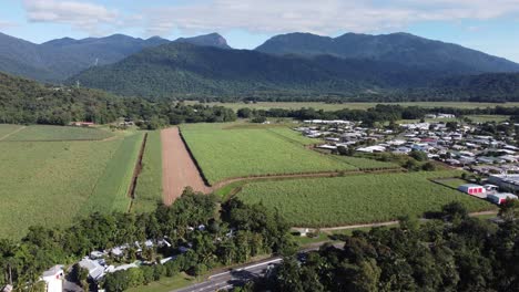 4k aerial drone shot of a sugarcane plantation with mountains in the background near a small town in north queensland, australia