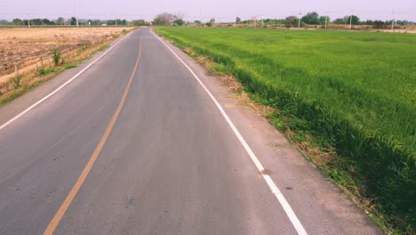 Vista-Aérea-En-ángulo-Bajo-De-La-Pradera-De-Arroz-Verde-Durante-La-Puesta-De-Sol-Con-La-Carretera,-Revelando-Un-Hermoso-Paisaje-Bajo-El-Cielo-Naranja-De-La-Puesta-De-Sol