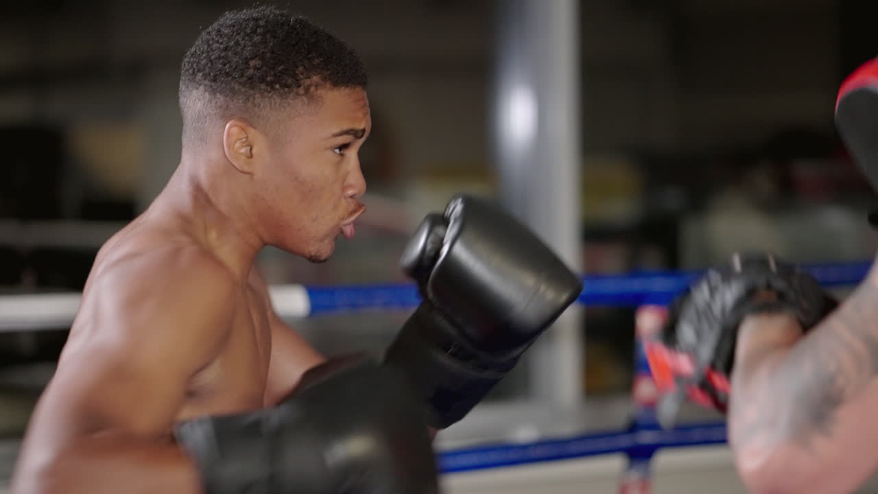 권투 훈련 세션