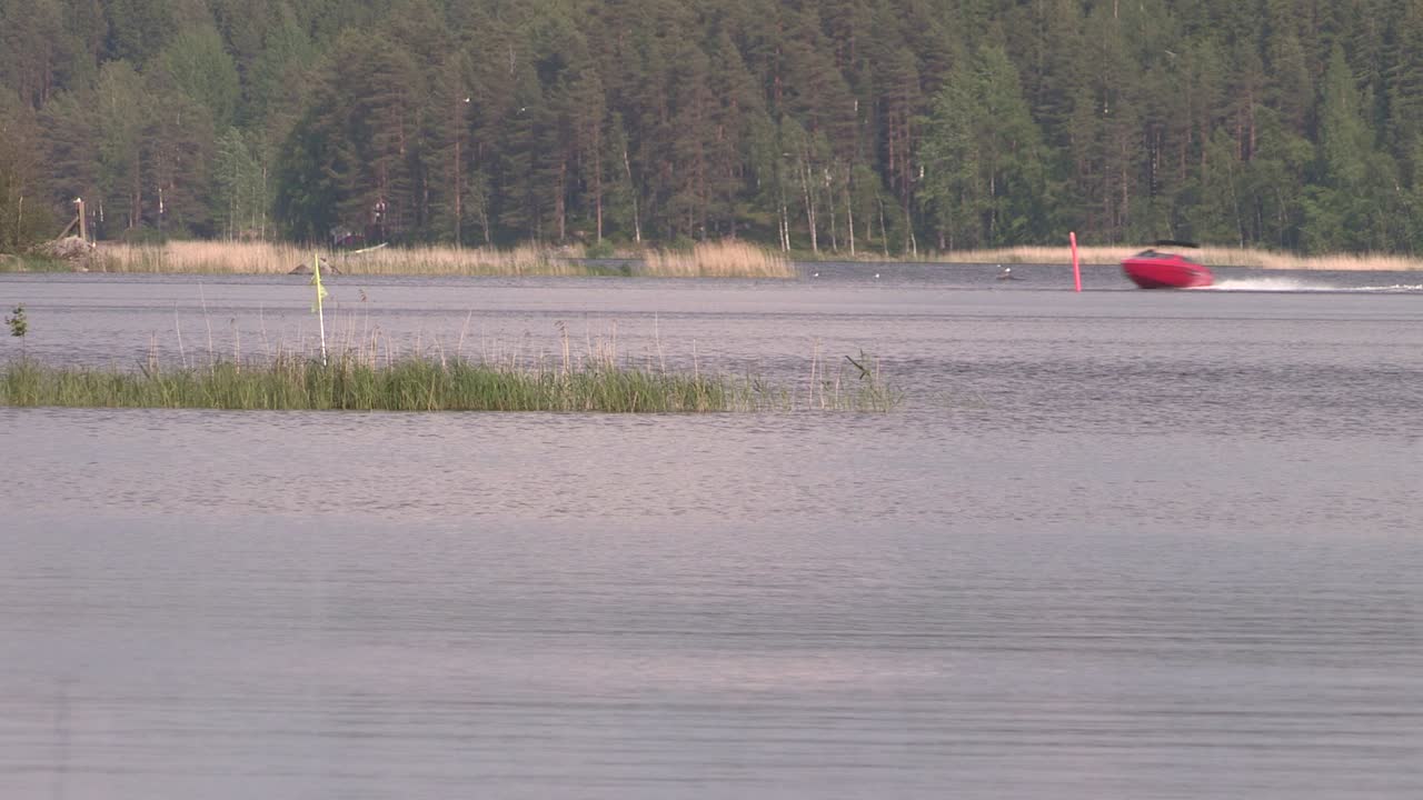 일반적인 갈대로 핀란드의 호수 닫습니다