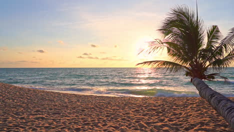 Hermoso-Paisaje-Marino-Con-Una-Sola-Palmera-Inclinada-Hacia-El-Océano-Durante-La-Puesta-De-Sol-En-Un-Cielo-Azul-Claro-Con-Colores-Dorados