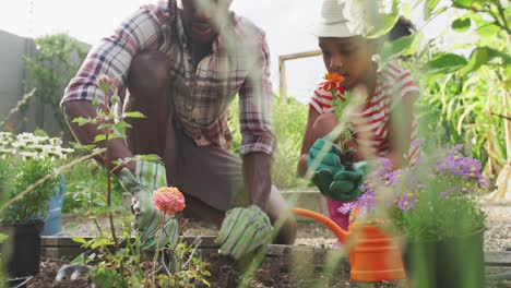 Afroamerikanischer-Vater-Und-Tochter-Arbeiten-Gemeinsam-Im-Garten