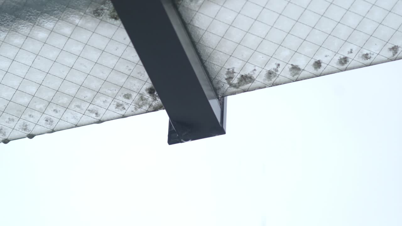 Rain Dripping From The Glass Roof During Rainy Season In Tokyo, Japan