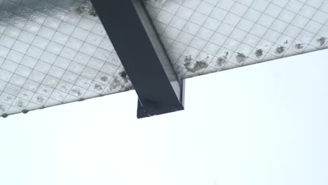 rain dripping from the glass roof during rainy season in tokyo, japan