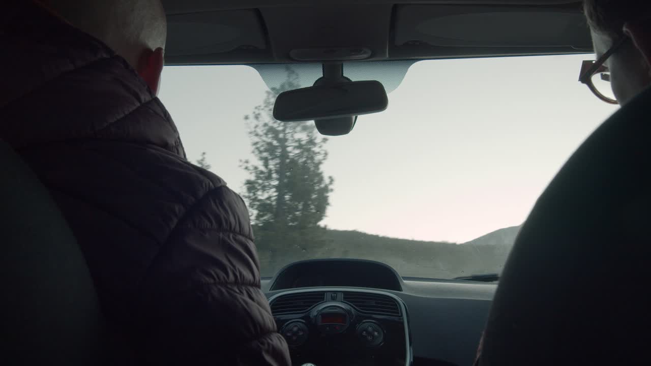 Guidare tra i boschi di conifere in montagna