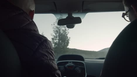 driving among the conifer woods in the mountains