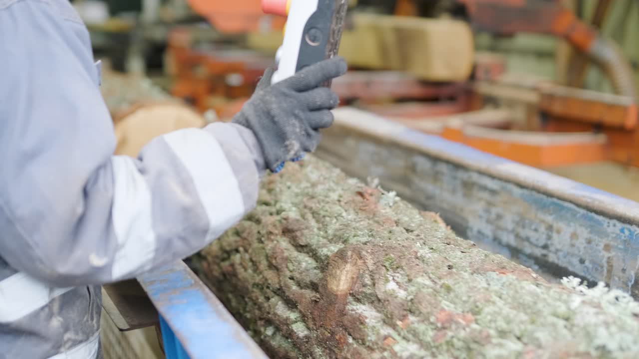 Worker Operating Remote Control to Move Log in Sawmill