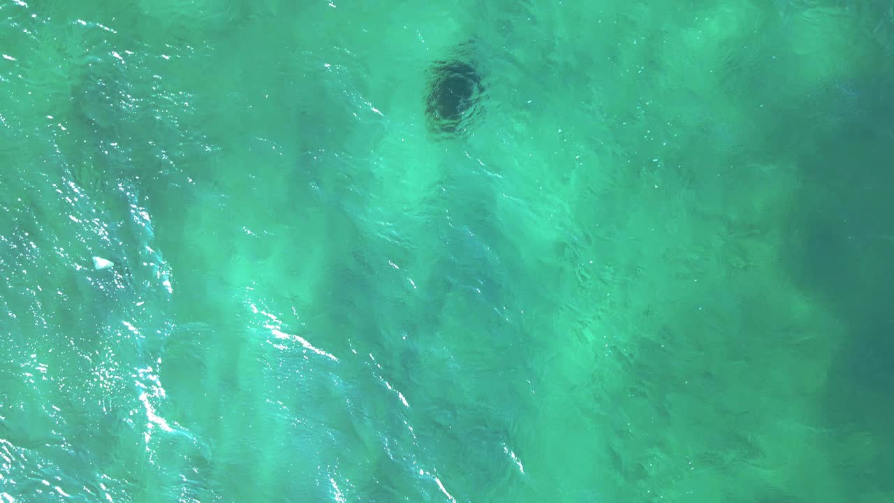 이스라엘 중부 샤론 비치 국립공원에서 해안으로 굴러가는 지중해의 파도