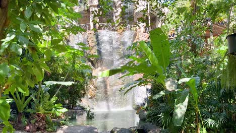 la exuberante vegetación que rodea una cascada en cascada