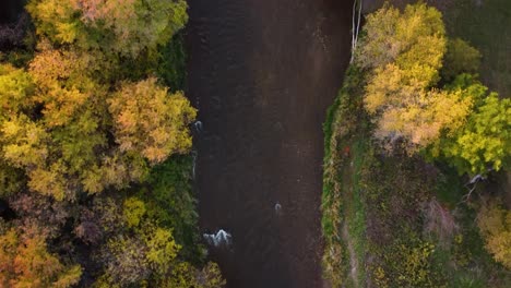 top down aerial view at a river in a park