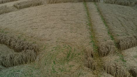 Swarraton-golden-barley-field-strange-closeup-crop-circle-aerial-view-orbit-slow-tilt-down-forward-above-farmland