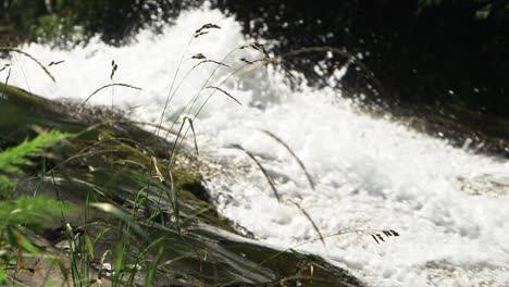 An-Sonnigen-Sommertagen-Rauscht-Ein-Reißender-Fluss-über-Felsen-Im-Wald