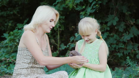 mom and daughter are holding a small hedgehog communication with wildlife concept 4k video