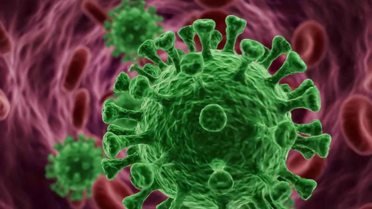 Microscopic View of Viruses in Bloodstream: A Detailed Exploration of Virus Structure, Dynamics, and Interaction with Red Blood Cells Underlying Infection Processes