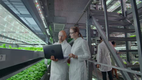 modern vertical farm for growing fresh vegetables and lettuce a team of scientists monitors and tests samples of greens and discusses the results of research.