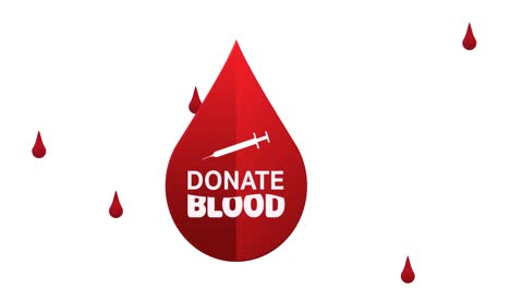 animación del texto de la sangre donada y las gotas de sangre que caen sobre un fondo blanco