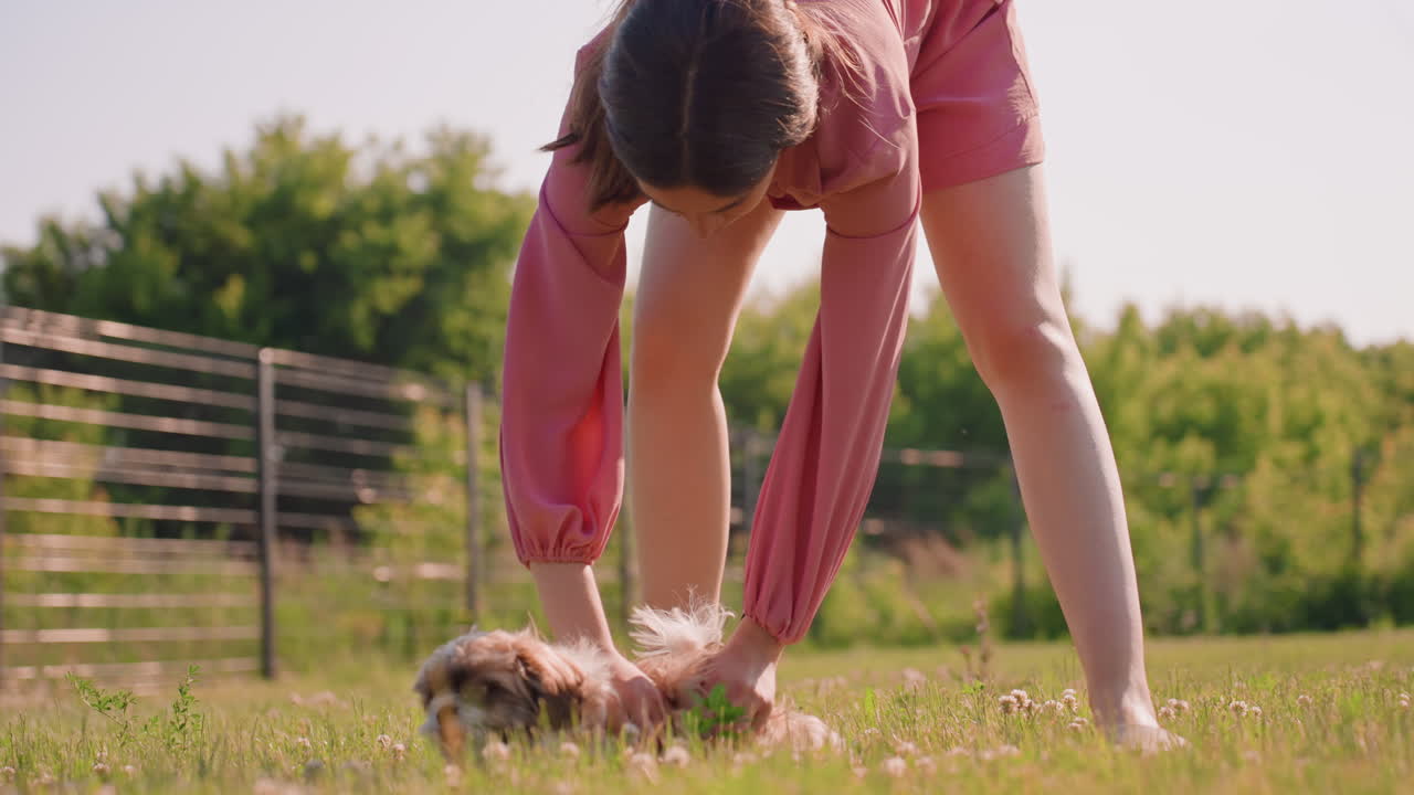 Young Female Caressing Cheerful Puppy Outdoors, Teenager Affectionately Interacts With Small Dog In Sunny Field, Young Lady Lovingly Pets Her Playful Puppy Amidst Bright Meadow Under Warm Sunlight